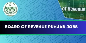 Board-of-Revenue-Punjab-Jobs