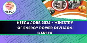 NEECA Jobs 2024