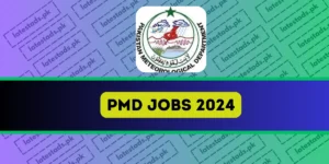 PMD-Jobs-2024