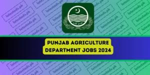 Punjab-Agriculture-Department-Jobs-2024