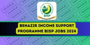 Benazir-Income-Support-Programme-BISP-Jobs-2024