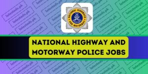 National-Highway-and-Motorway-Police-Jobs